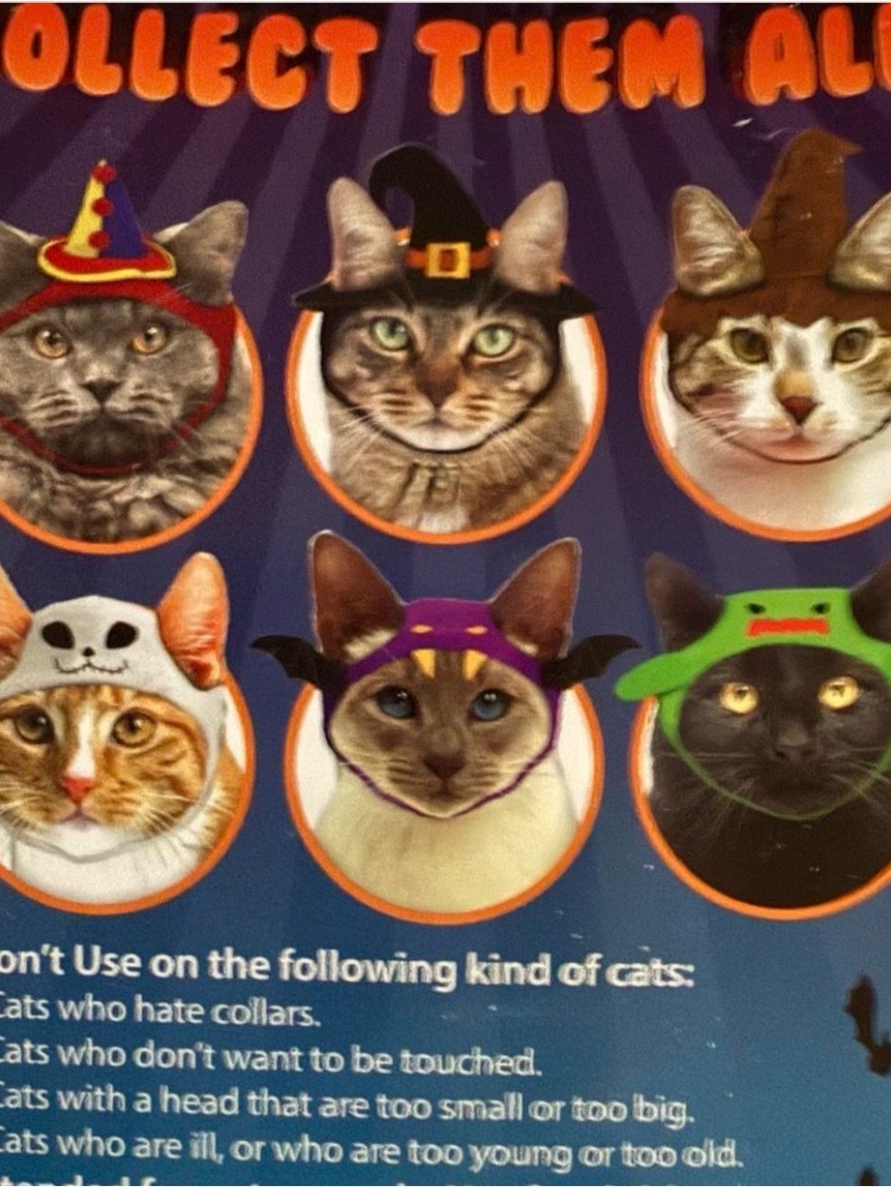Halloween Cat Hat Collection — Purple, Green, Black & White Festive Caps